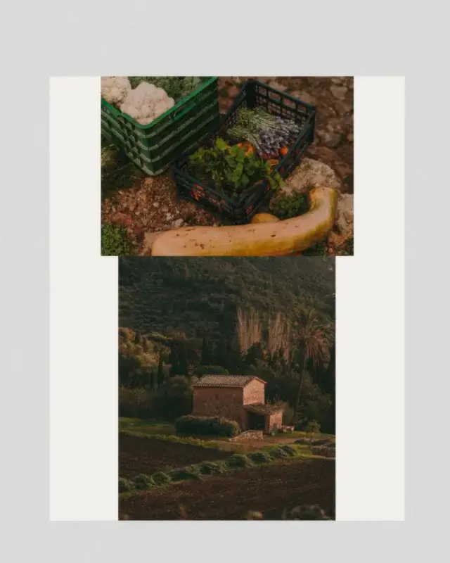 Social media art direction for View Mallorca Magazine