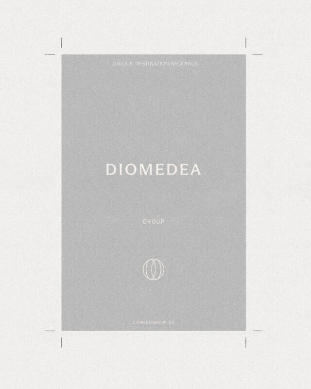 Graphic system detail for Diomedea Group identity