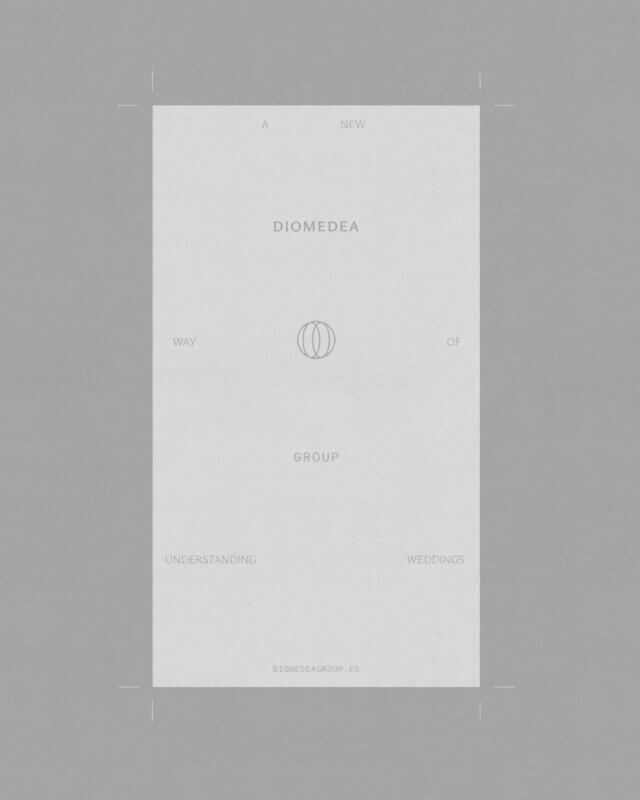 Graphic system detail for Diomedea Group identity