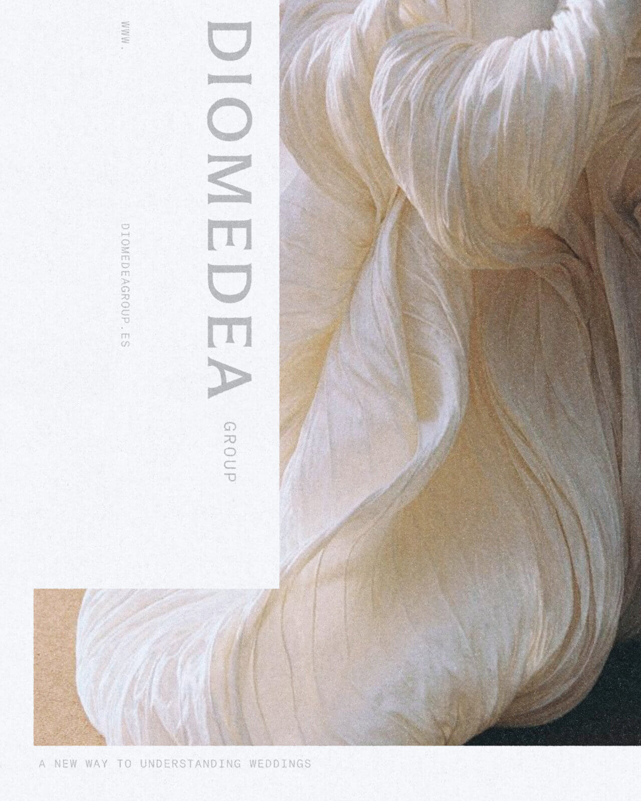 Brand identity print detail for Diomedea Group wedding planner