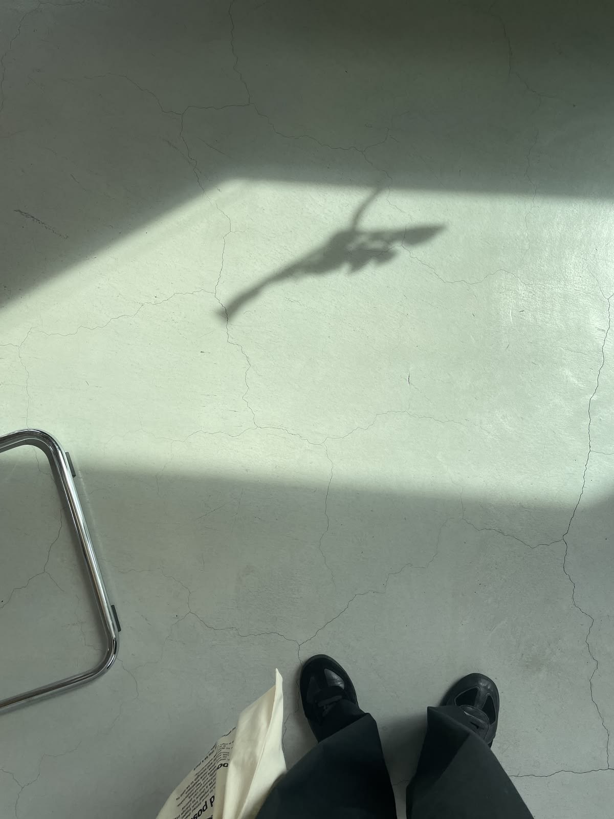 Sombra de una flor sobre un suelo iluminado.