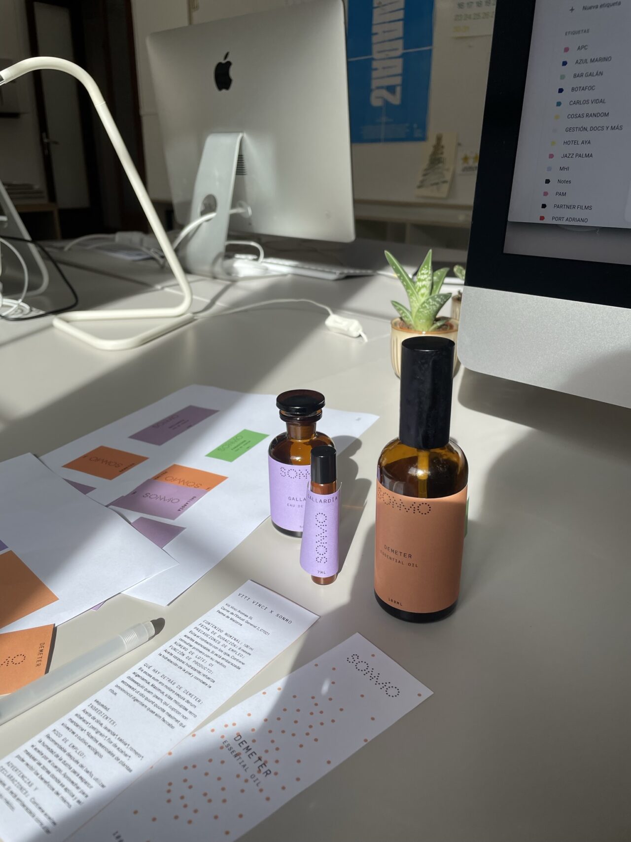 Mesa del estudio con muestras de color, envases y documentos de Sonmo.